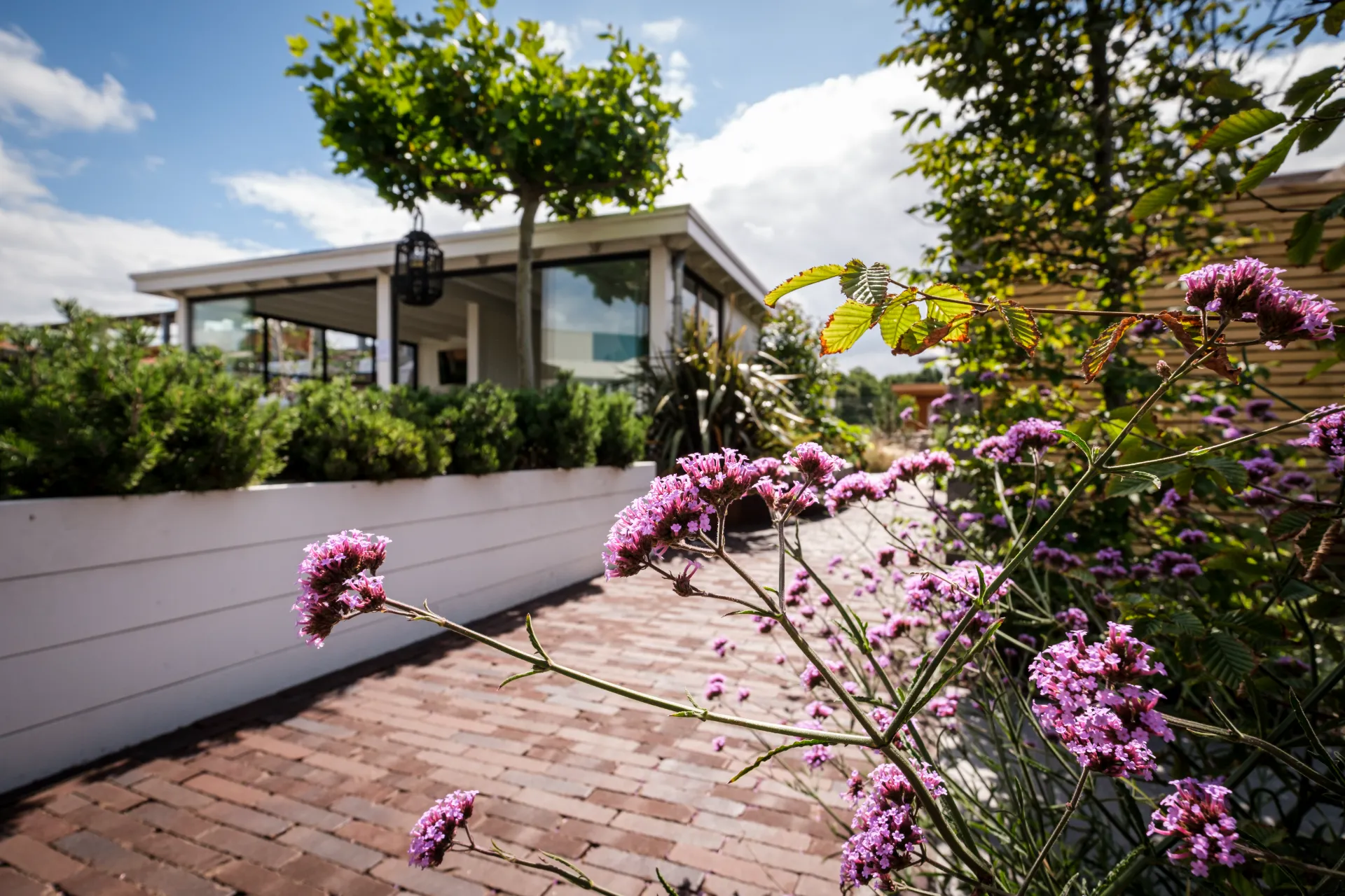 Volle border met vaste planten en siergrassen