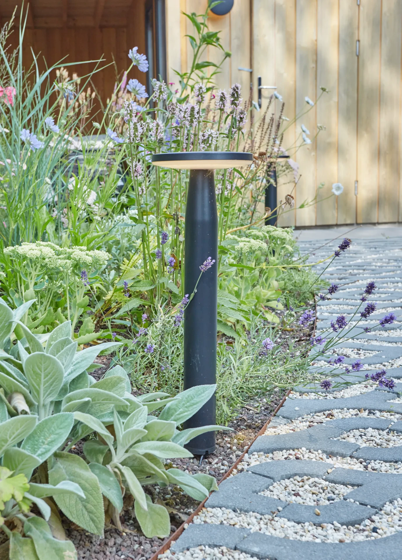 Inlite sokkellamp tussen borderbeplanting langs tuinpad